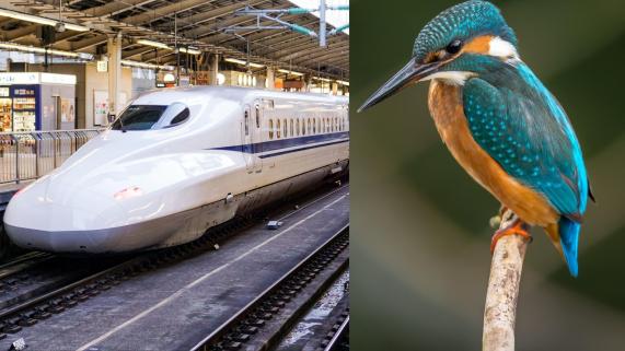 martrain