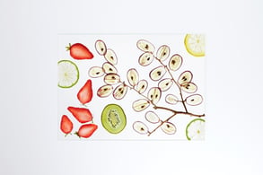 FranckHamel_LaurentPerrier_Harmony_FlowimStudio_V2.0_Concept