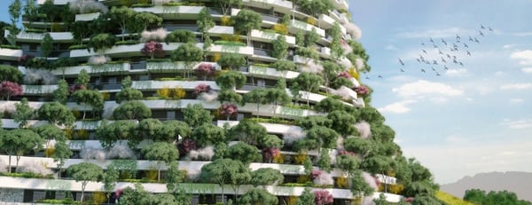 Hospitality_Insights_Guizhou