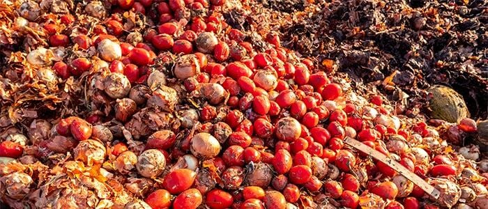 a heap of decaying red and orange tomatoes, displaying wrinkled skin and moldy patches