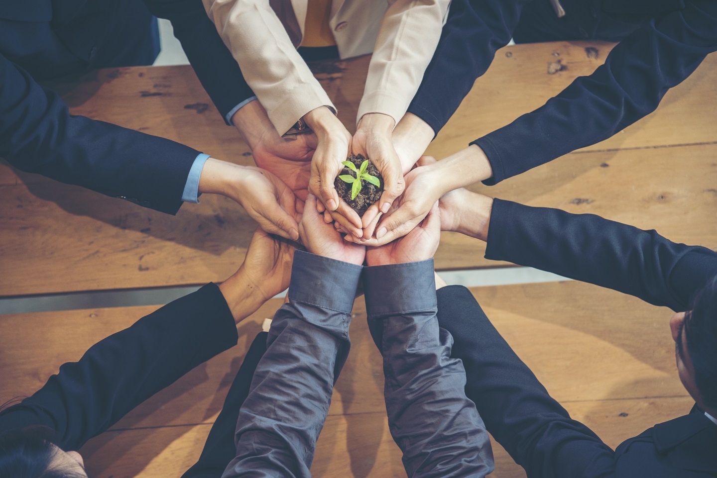 5 ways you can reduce your carbon footprint at ehl