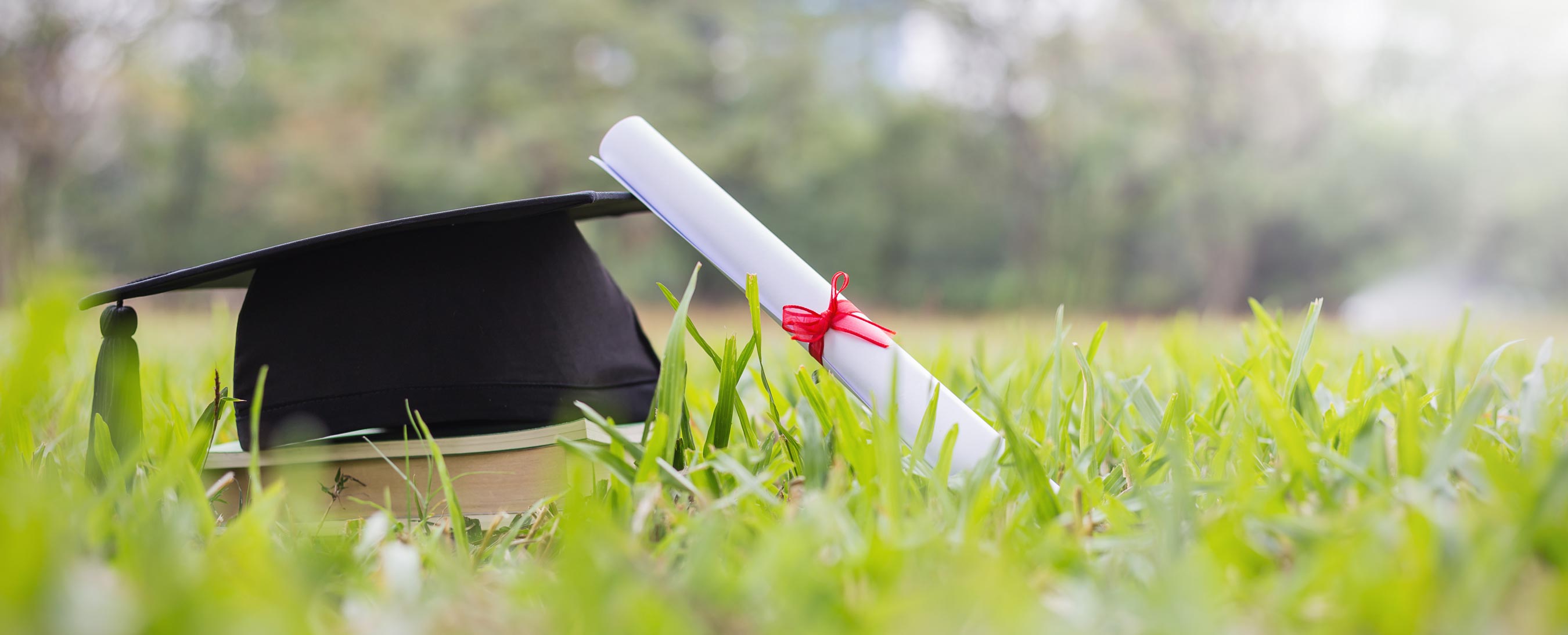 ehl-bachelor-fast-track