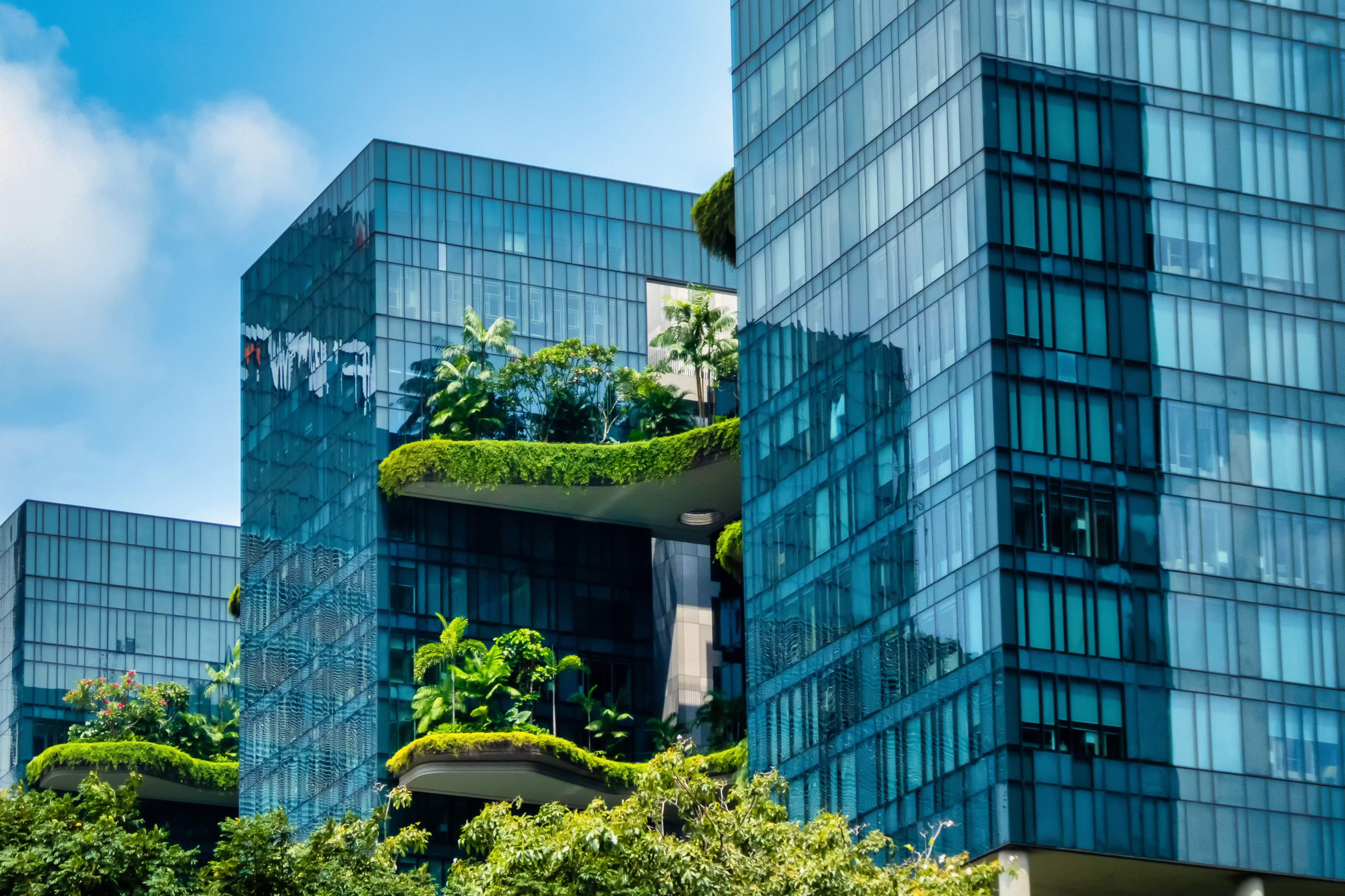 sustainable hospitality development