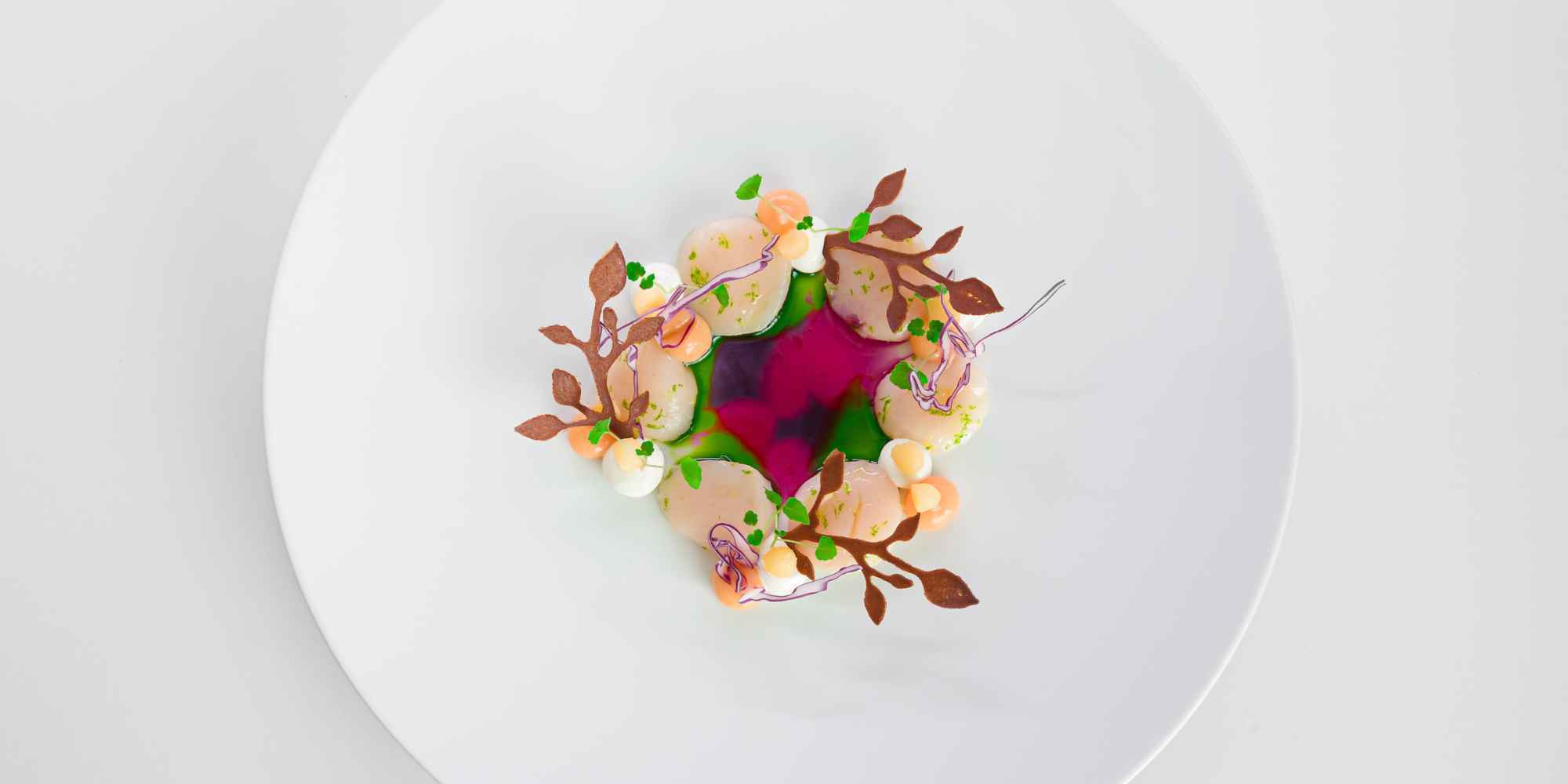 Beau plat Lucrèce Lacchio Berceau des Sens