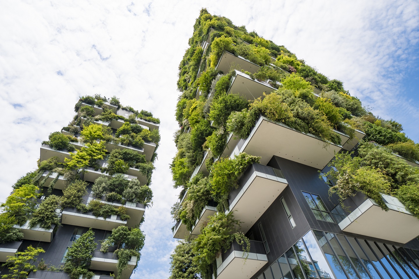 Towards A Sustainable Hospitality Industry