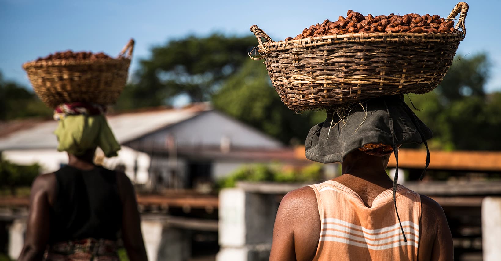sustainable chocolate