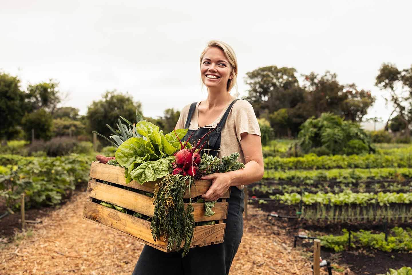 Bio Suisse & Gastronomie: Gemeinsam für eine nachhaltige Küche