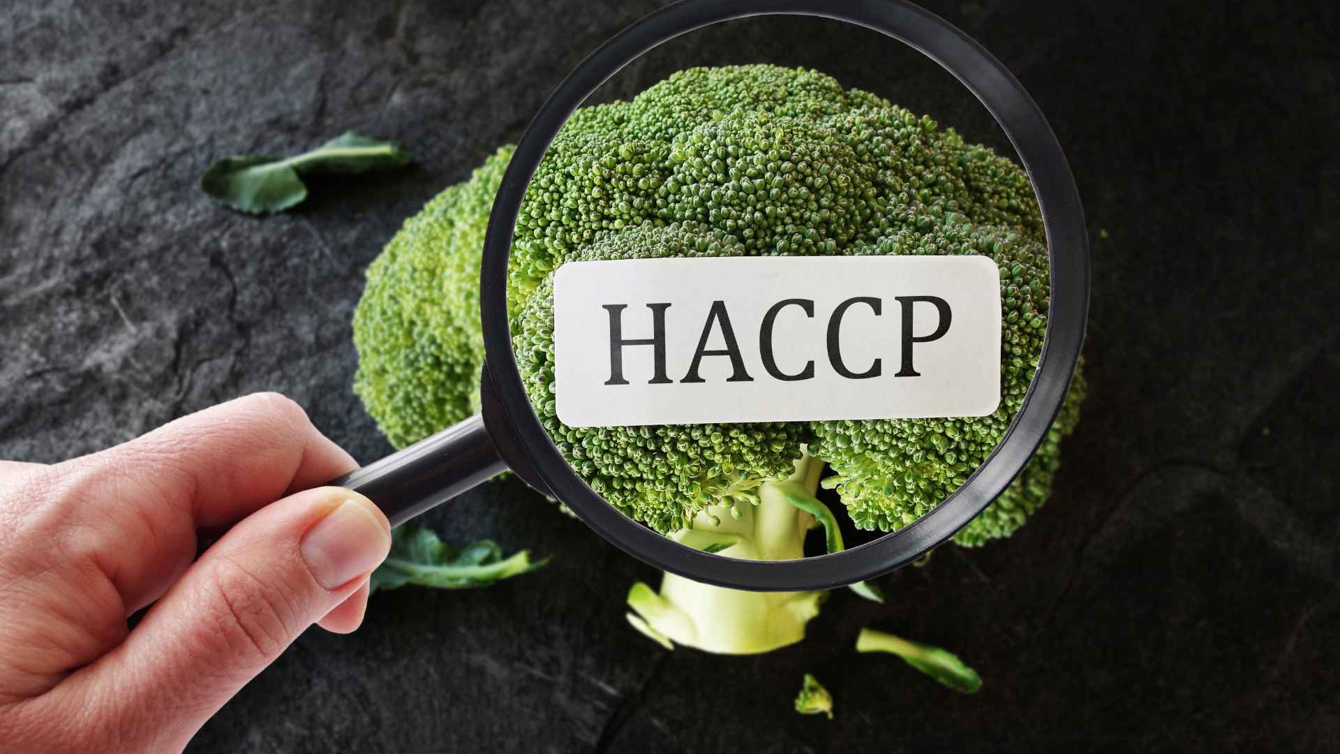 Food safety HACCP