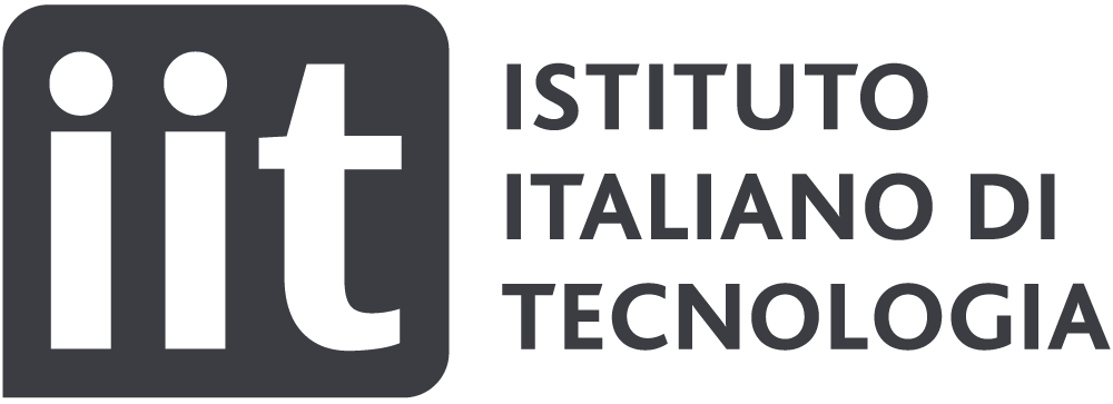 IIT
