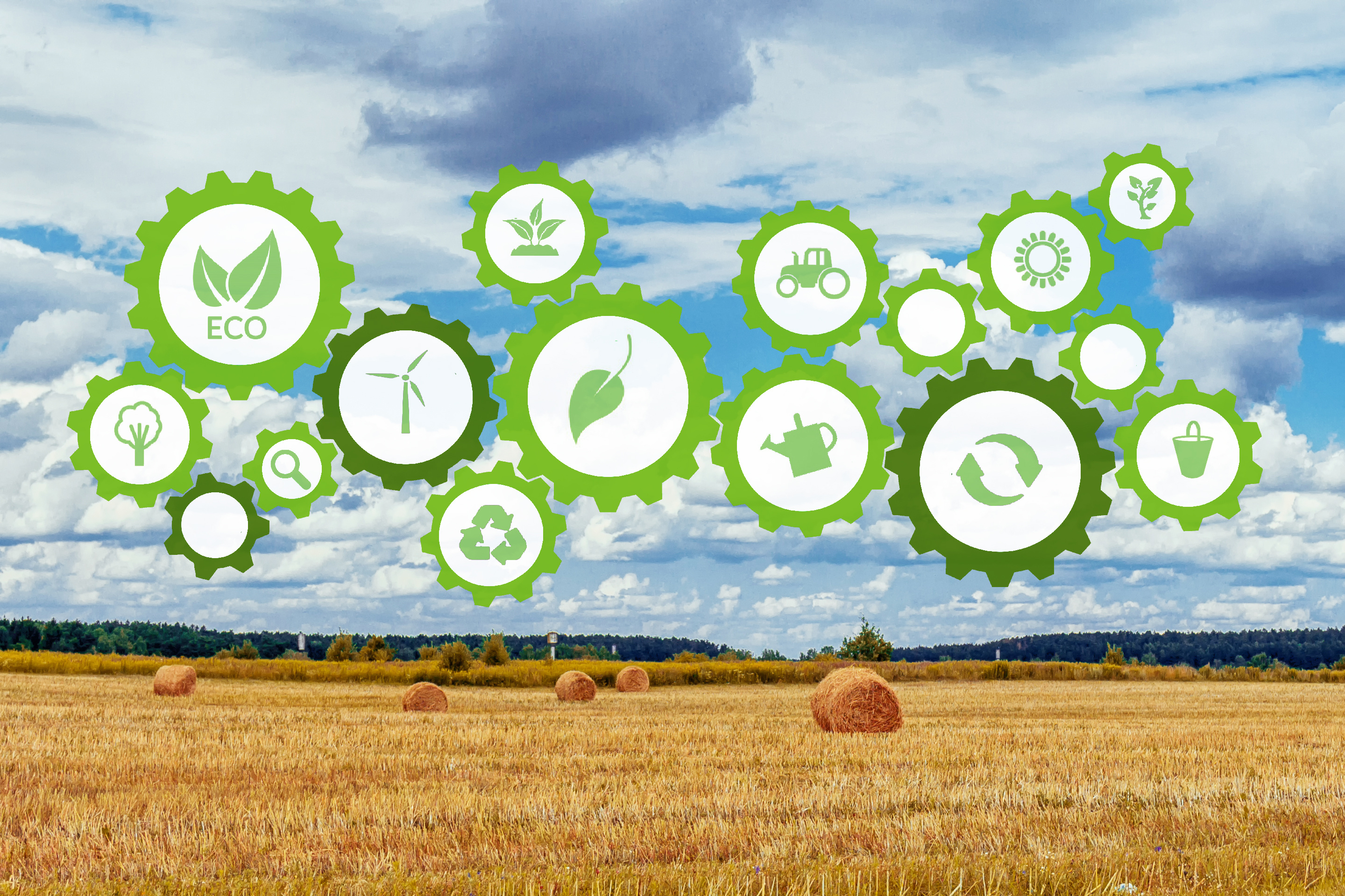 The Future of Food What is it Made Of?