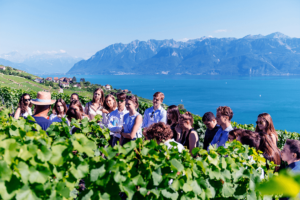jac-lausanne-inthevignoble