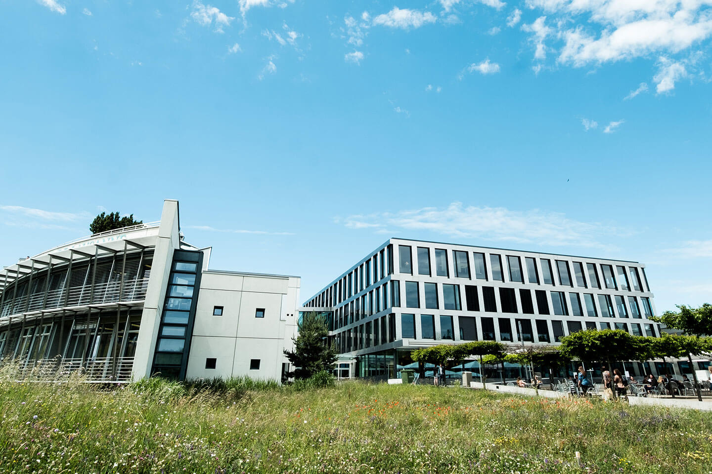 enroll-online-courses