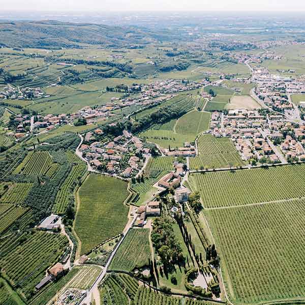 600x600_Culinary-Arts_Highlights_Valpolicella