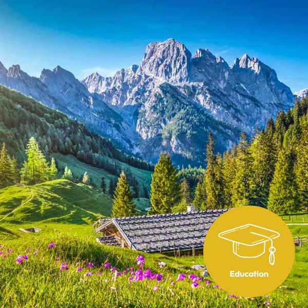 600x600_Sustainability_Graphic_Website (2)