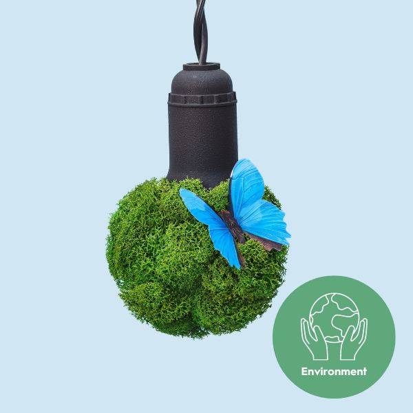 600x600_Sustainability_Graphic_Website_Carousel_sustainable-energy