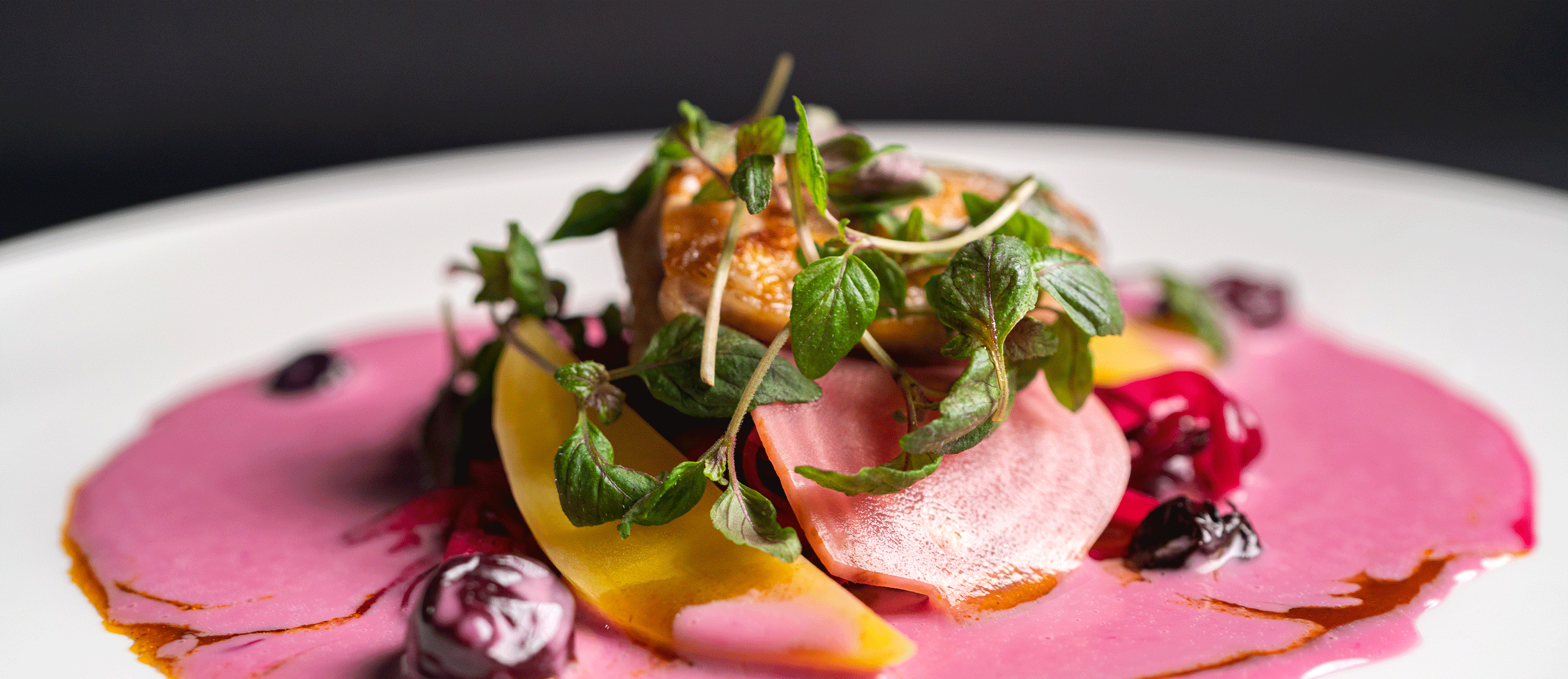 EHL-SSTH_Essence_Header-4