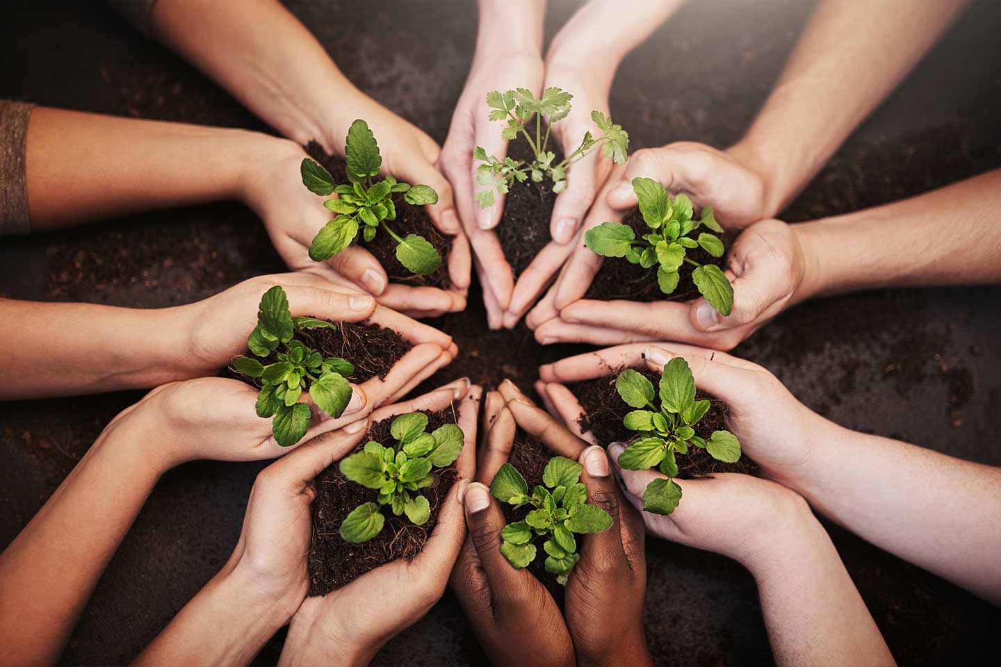 EHL-Passugg_Sustainability-Lab_Image_sustainability-summit