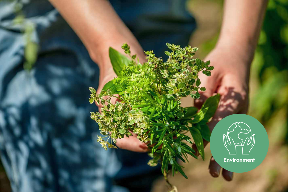 EHL-Passugg_Sustainability_CSR_Page_Environment_01