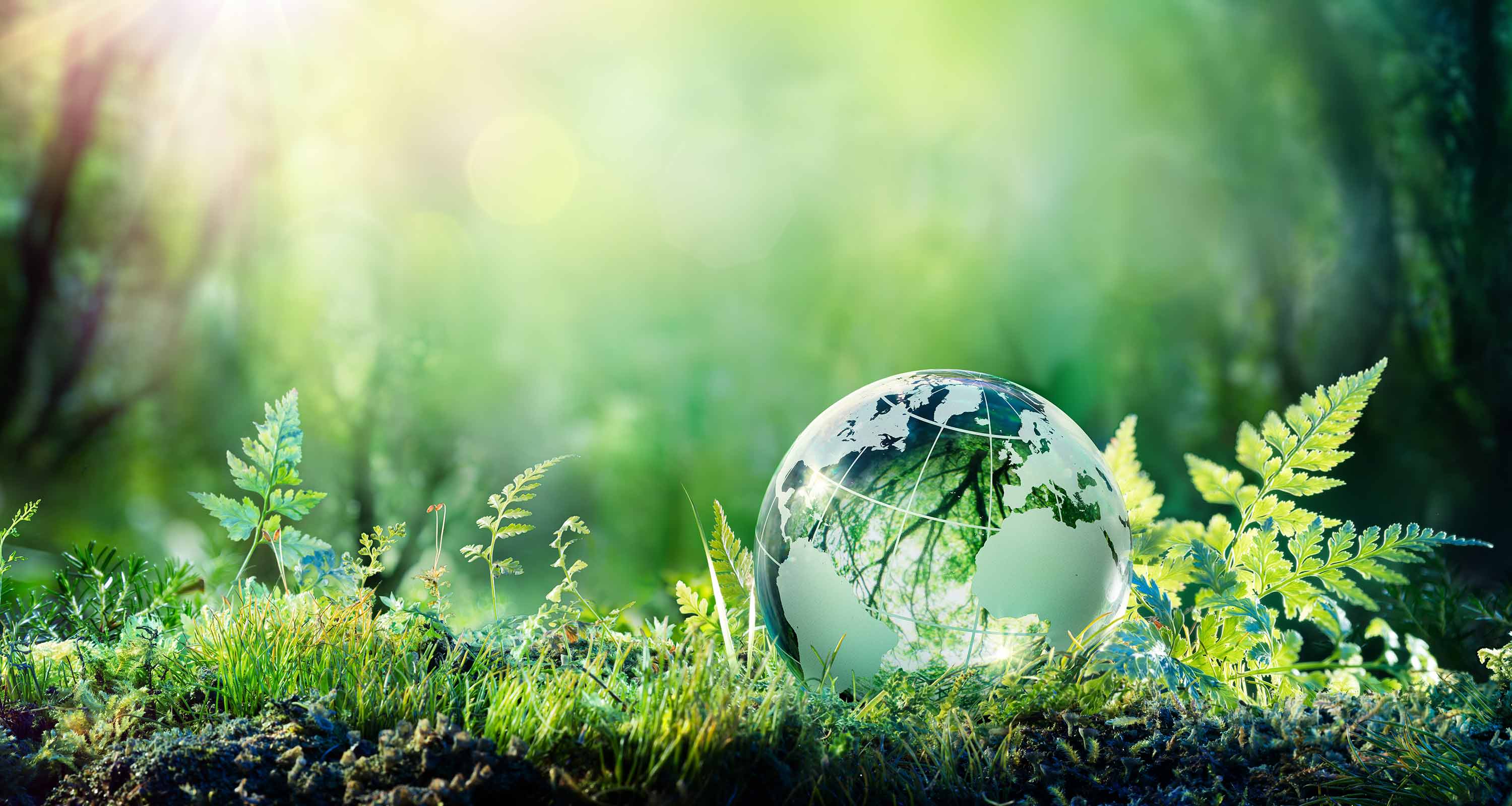 EHL-Passugg_Sustainability_CSR_Page_Header_03