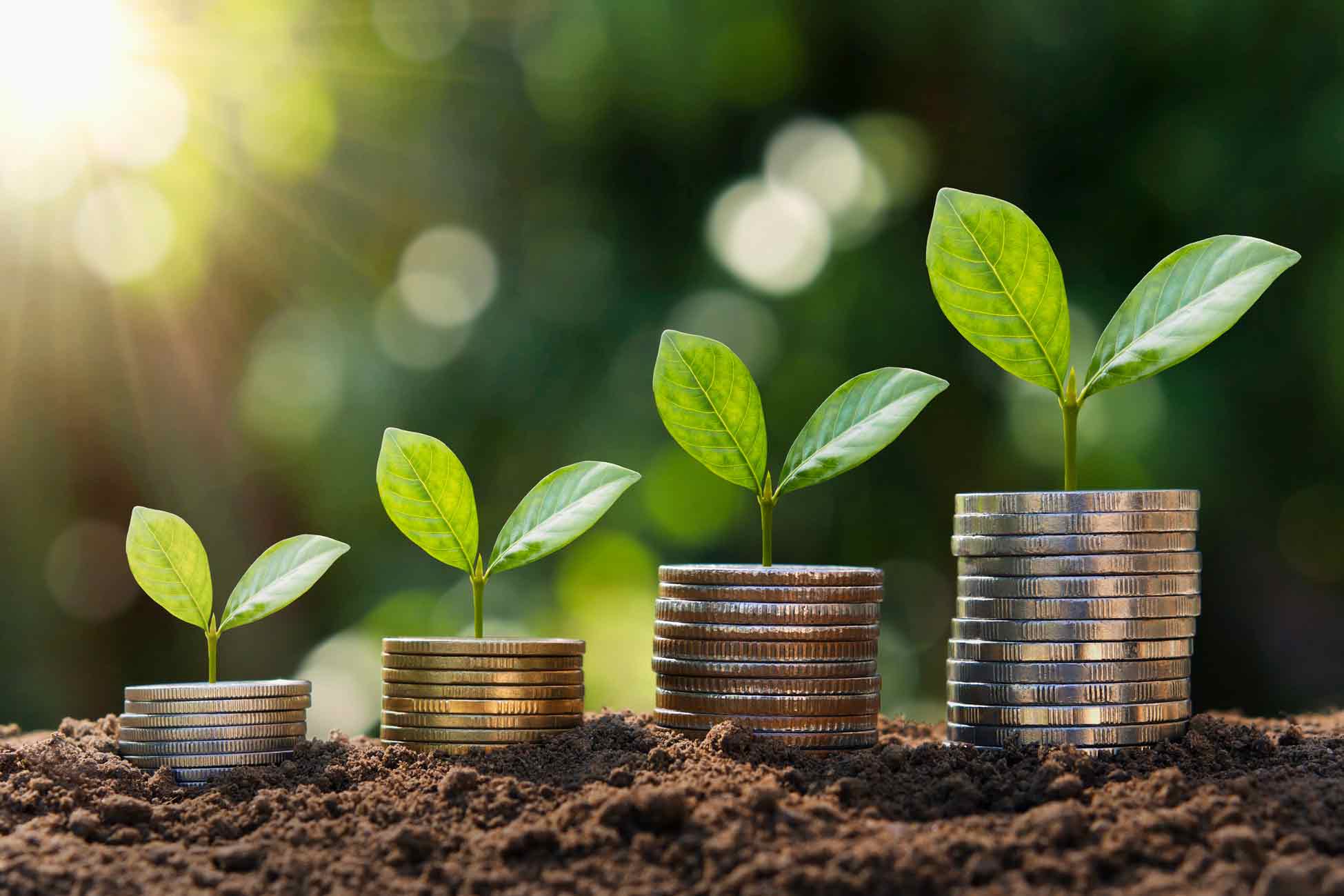 Image_EHL-SSTH_Sustainable-management-major_economy