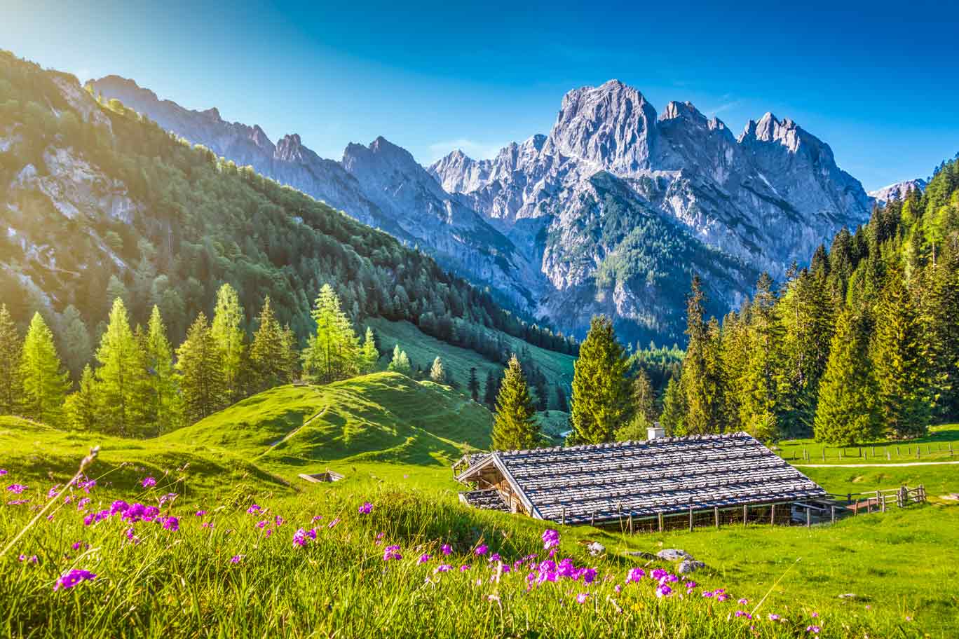 Sustainable Management Specialization within the Swiss Professional Degree