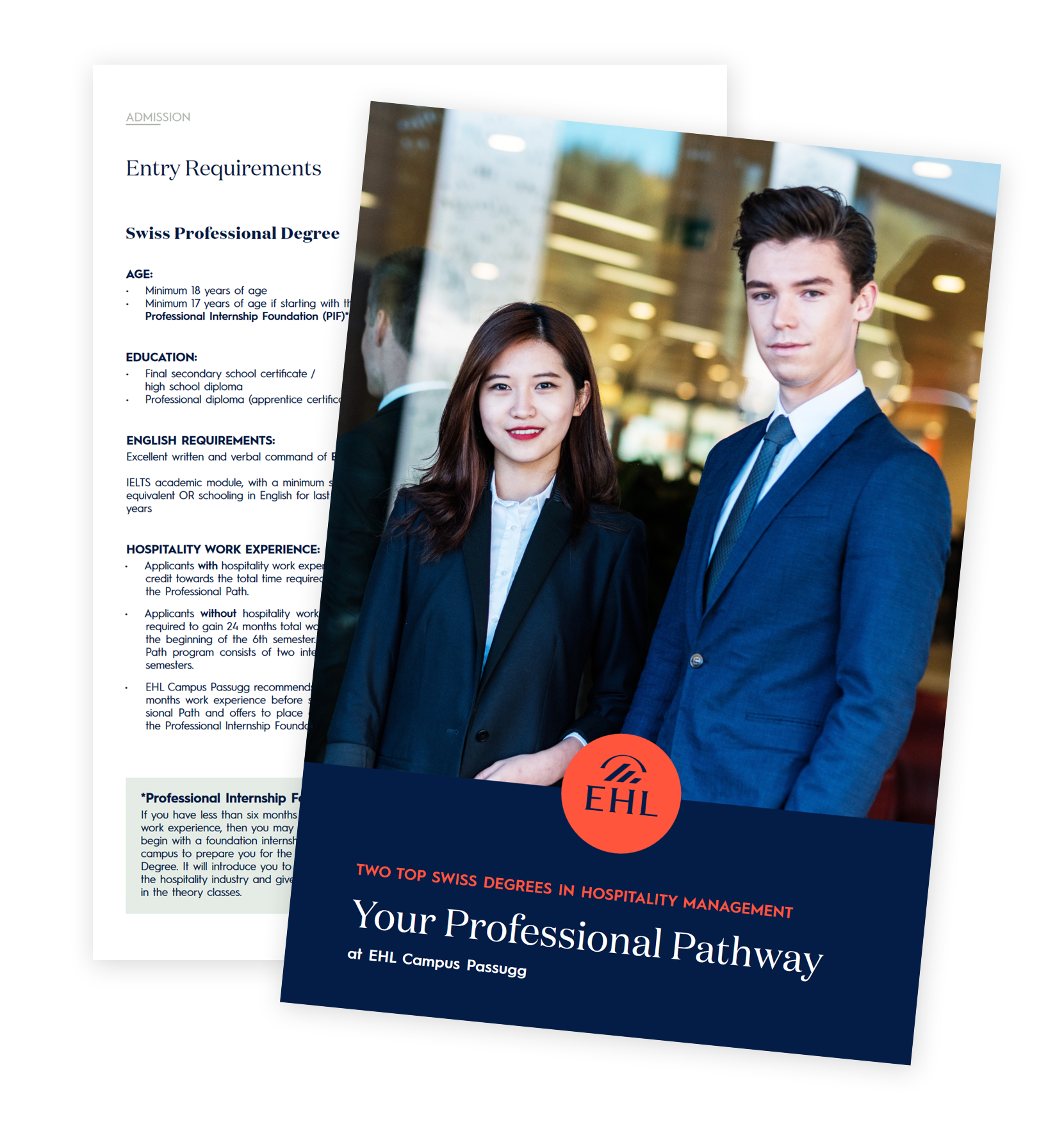 swiss_professional_brochure